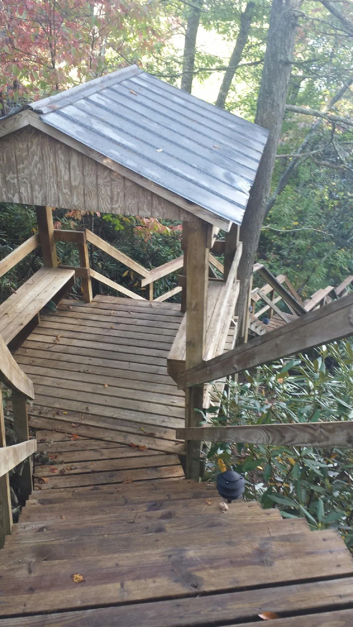 Metal roofed shelter over wooden steps on a wooded walkway — Skylight Repair & Installation work by our crew in Mc Leansville